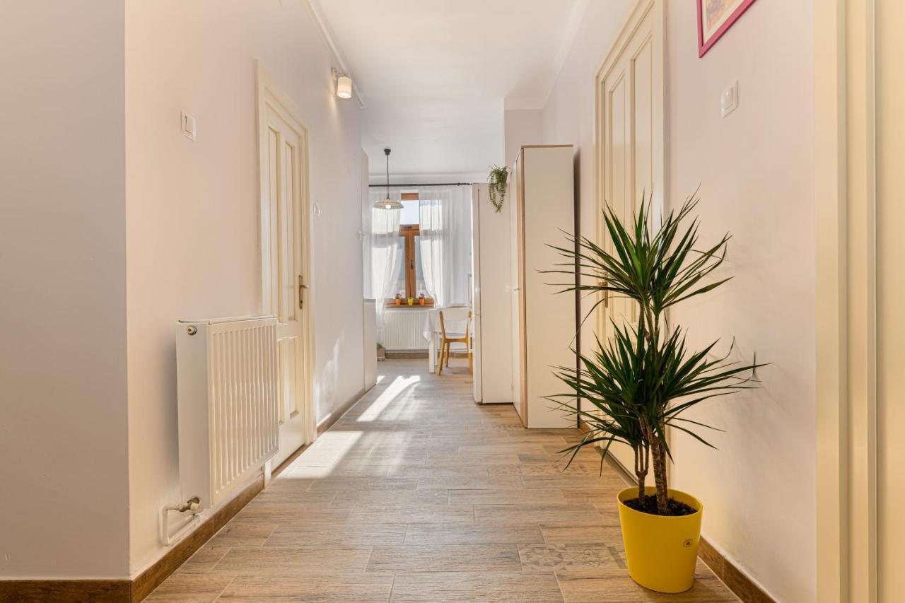 Chic&View Brasov Apartment 外观 照片