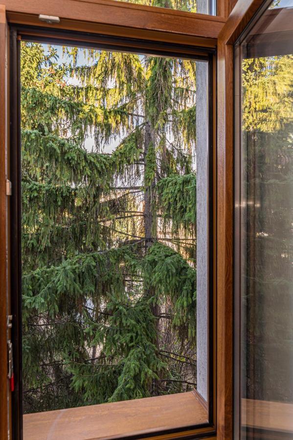 Chic&View Brasov Apartment 外观 照片