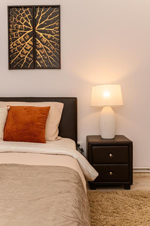 Chic&View Brasov Apartment 外观 照片